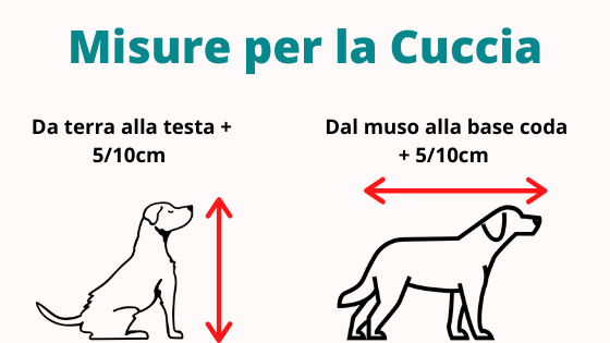 Calcolo misura cuccia per cani infographic