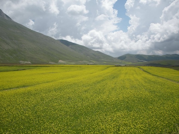 Percorso trekking con cane marche piana di castelluccio