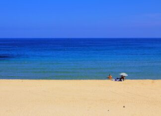 Spiagge per Cani Marche